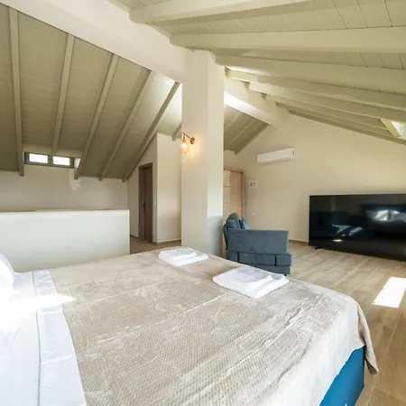 公寓式酒店 Thisefs Luxury Kefalonia *