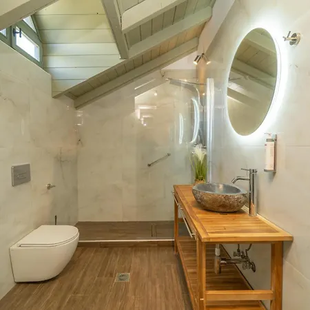 公寓式酒店 Thisefs Luxury Kefalonia